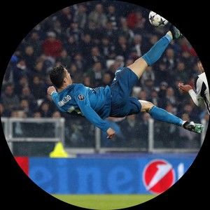 Meet your Posher, Riley